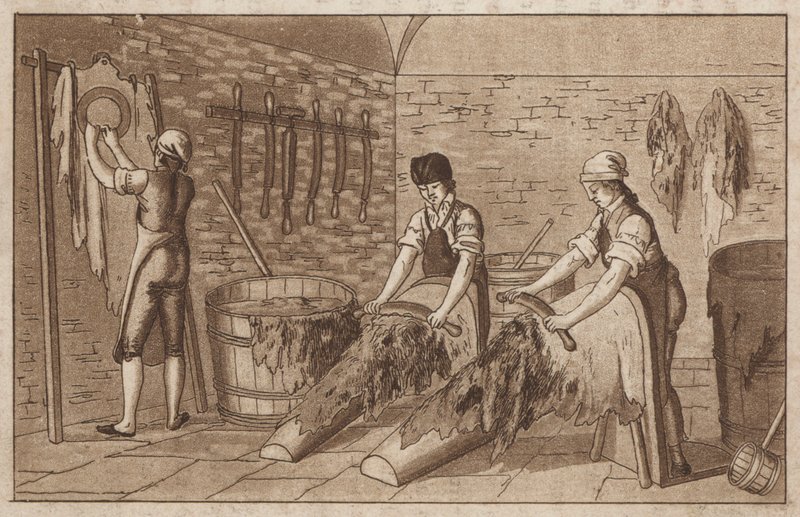 Garveri (litho) av European School