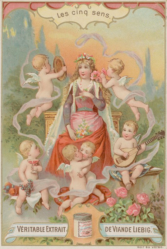 De fem sansene av European School