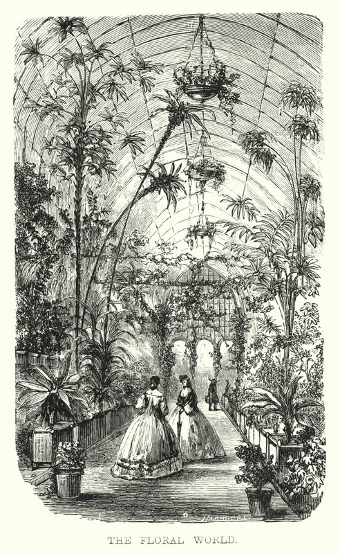The Floral World (gravering) av European School