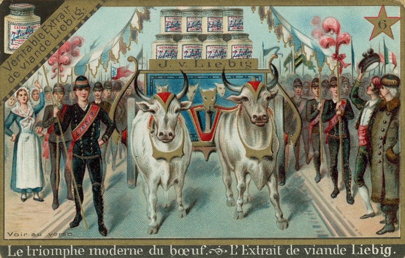 The Modern Triumph of Beef av European School