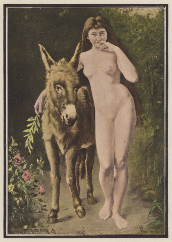 Den gyldne rumpa (farge litho) av European School