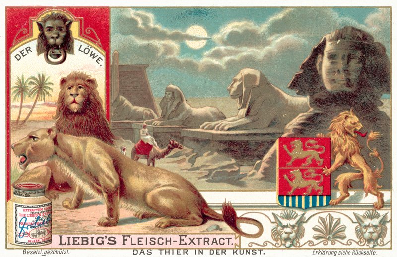 Løven (chromolitho) av European School
