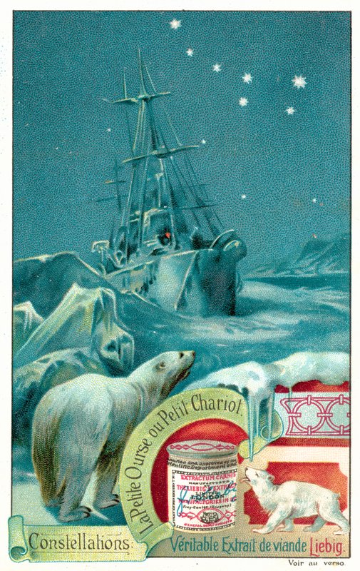 Ursa Minor (chromolitho) av European School