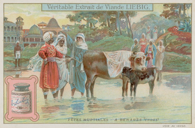 Varanasi bryllup tradisjoner av European School