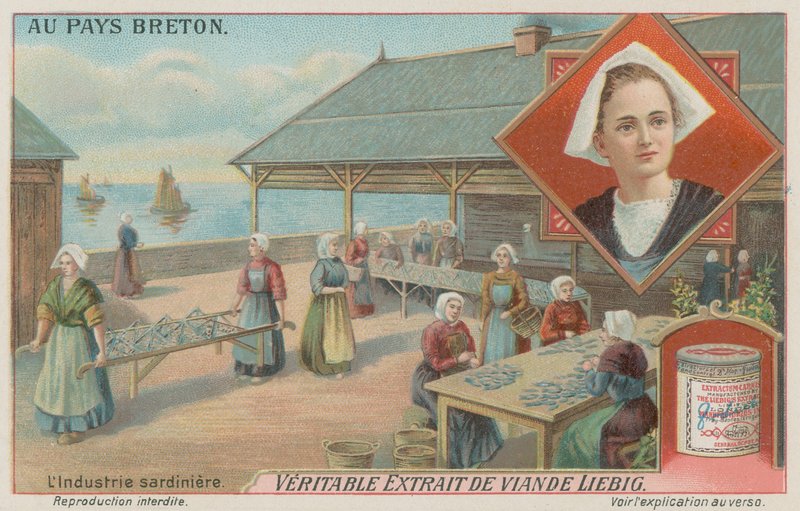 Kvinner tilbereder sardiner (chromolitho) av European School