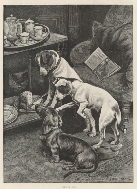 Fristelse av Fannie Moody