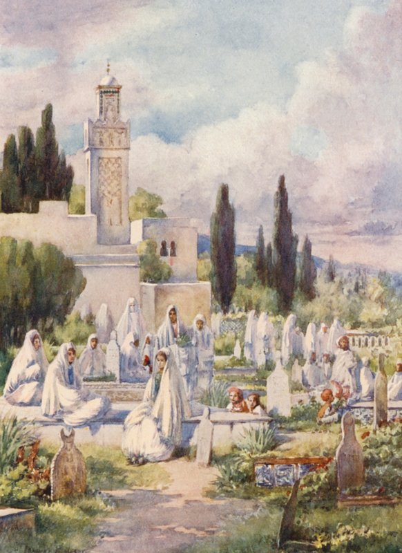  av Frances Nesbitt