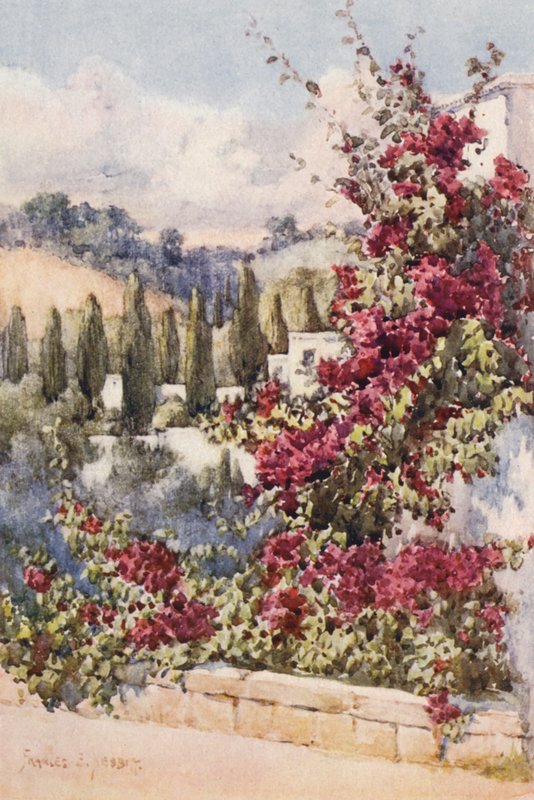  av Frances Nesbitt