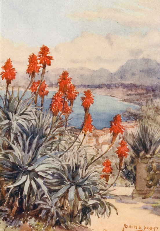  av Frances Nesbitt