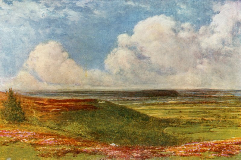 Blackdown Common av Francis S. Walker