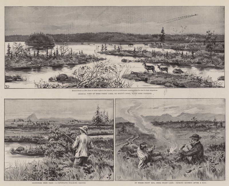 Farming and Sport i Newfoundland av Frank Dadd