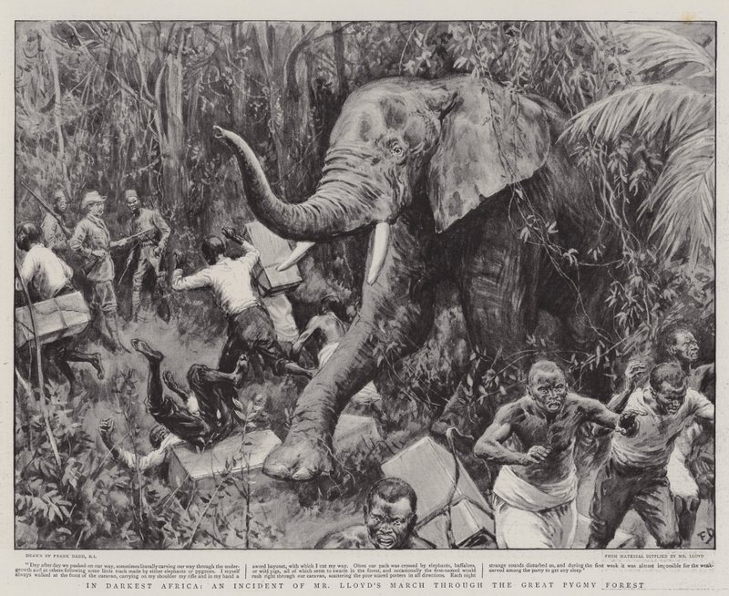 I mørkeste Afrika, en hendelse av Mr Lloyds mars gjennom den store pygméskogen av Frank Dadd