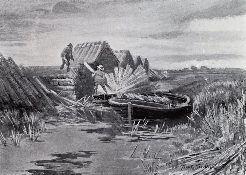 Norfolk Broads: Reed-Stacking (litho) av Frank Southgate