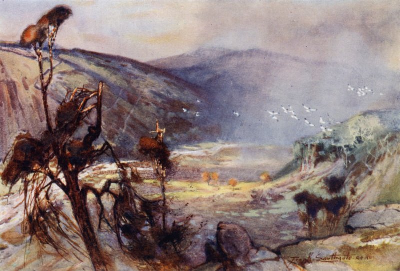 Storm in the Cheviots (farge litho) av Frank Southgate