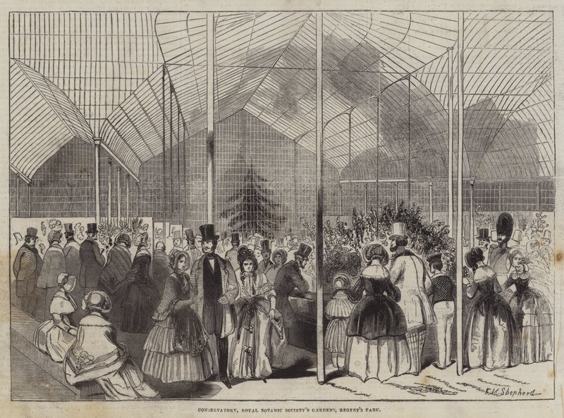 Conservatory, Royal Botanic Society