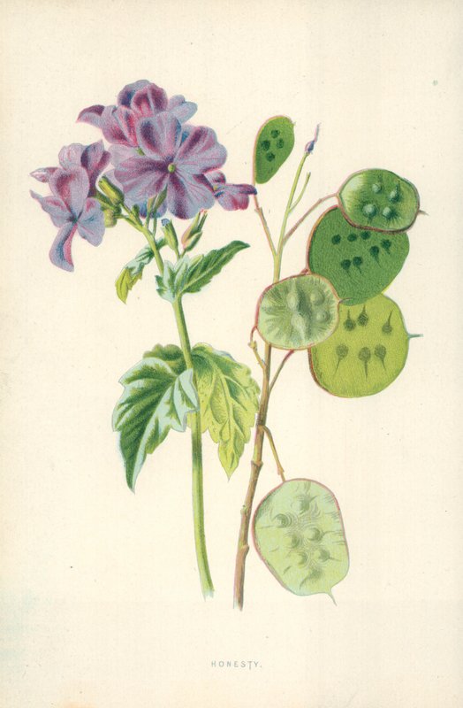 Ærlighet av Frederick Edward Hulme
