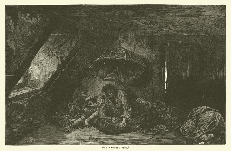 Det vannrike reiret av Frederick L. Bernard