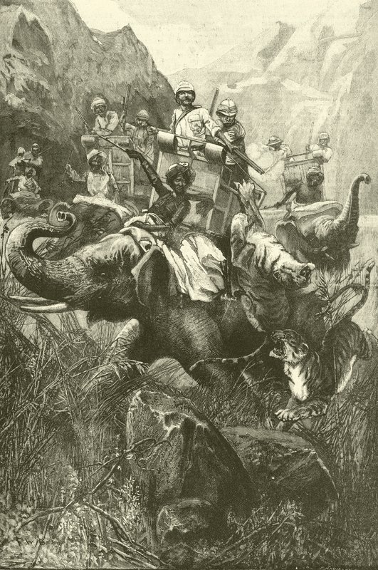 Tigerjakt i India (gravering) av Frederick William Burton