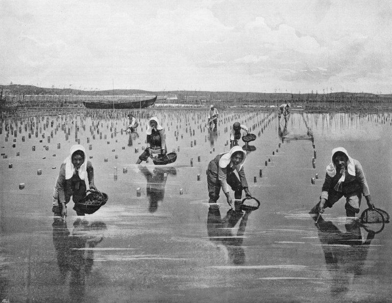 Arcachon - Oyster Parqueuses (s/hvitt bilde) av French Photographer