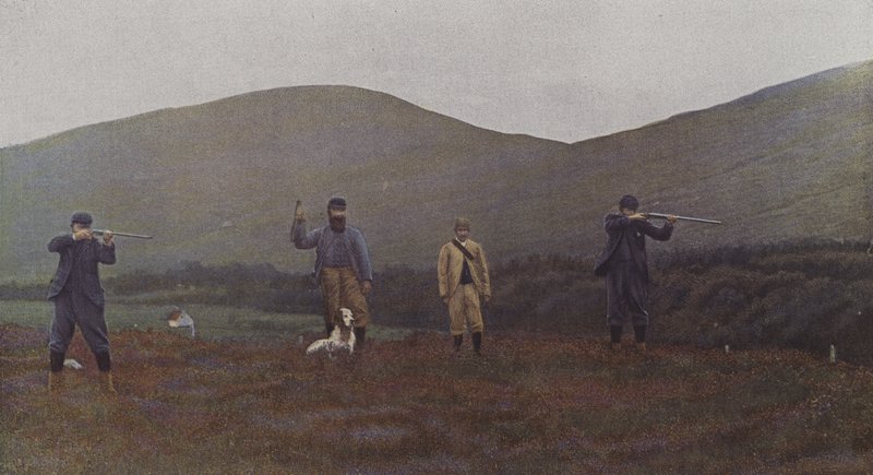 Rypeskyting i Skottland (fargebilde) av French Photographer