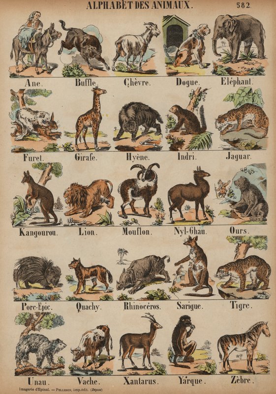 A til Å for dyr (farget gravering) av French School