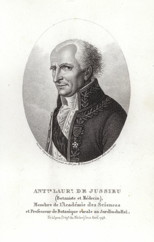 Antoine Laurent de Jussieu av French School
