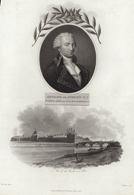Antoine de Jussieu av French School