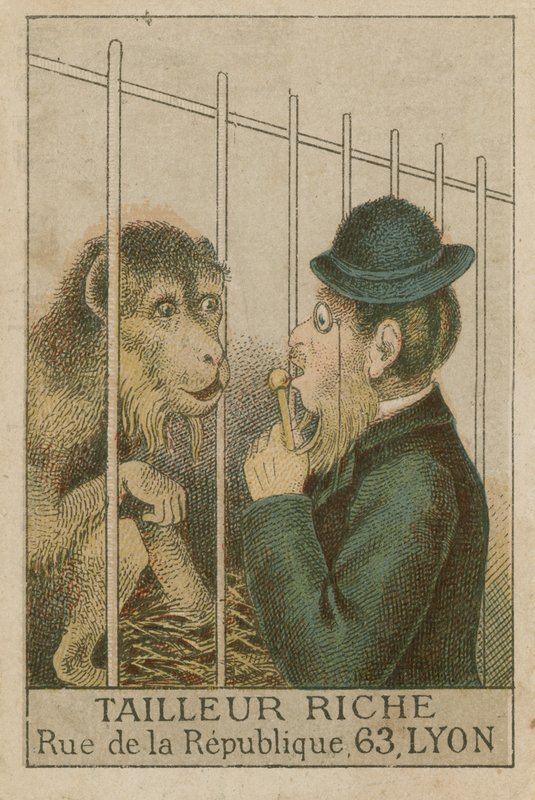 Ape og menneske av French School