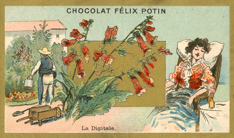 Digitalisert (kromolitt) av French School
