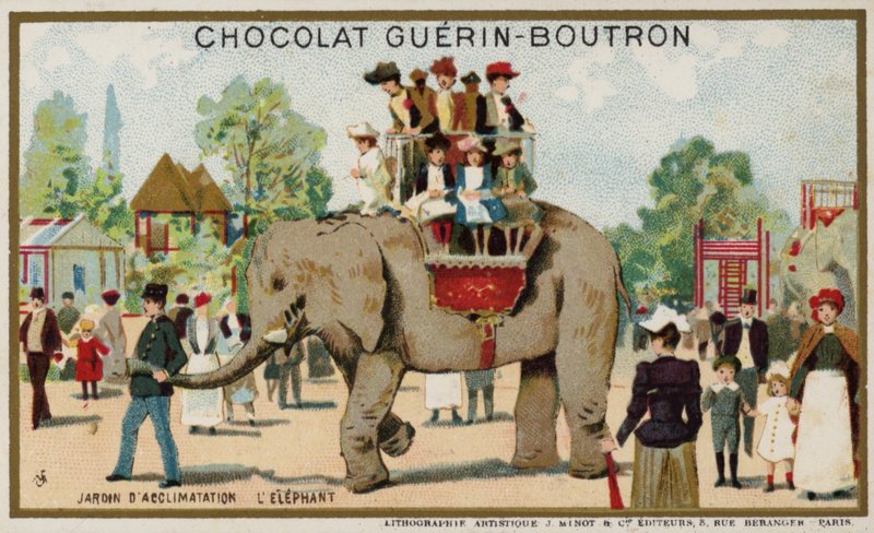 Elephant, Jardin d