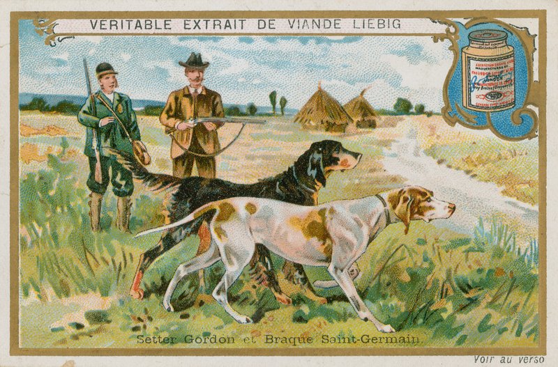 Gordon Setter og Braque St Germain av French School