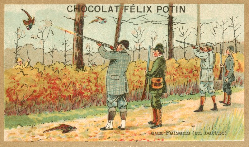 Jakt fasan (chromolitho) av French School