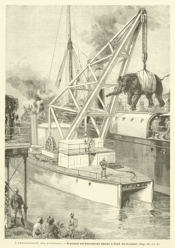 Embarkation Of The Elephants (gravering) av French School