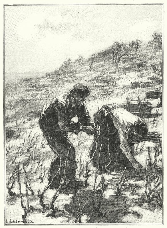 Pruning The Vines (gravering) av French School