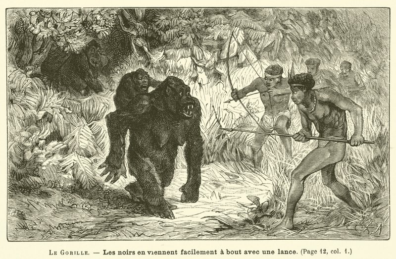 Gorillaen (gravering) av French School