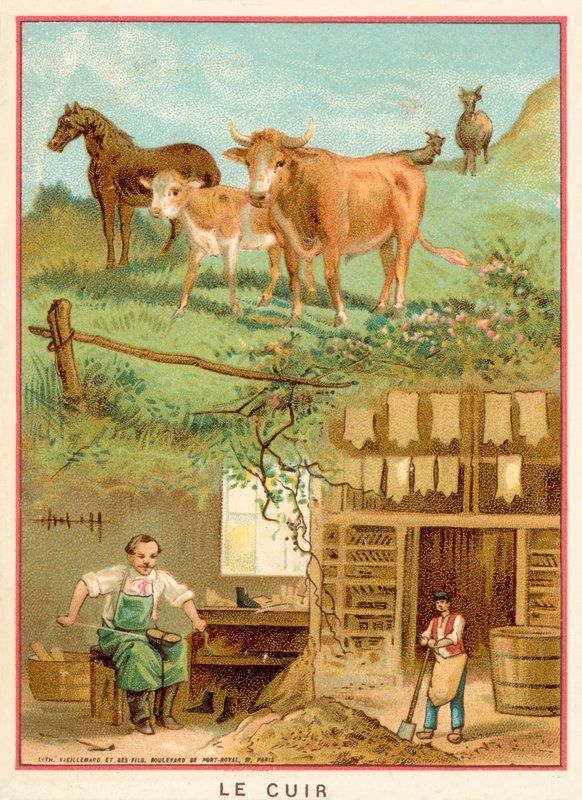 Lær (chromolitho) av French School
