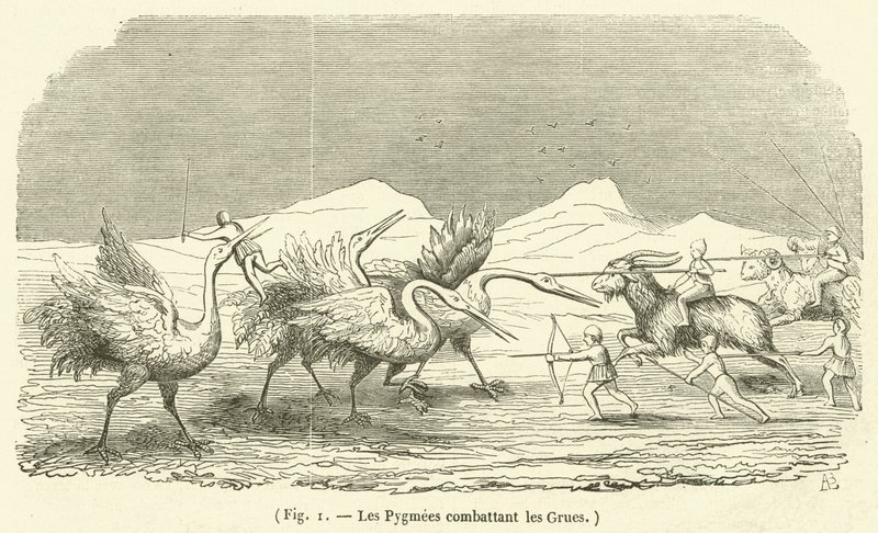Pygmeene som kjemper mot kranene (gravering) av French School