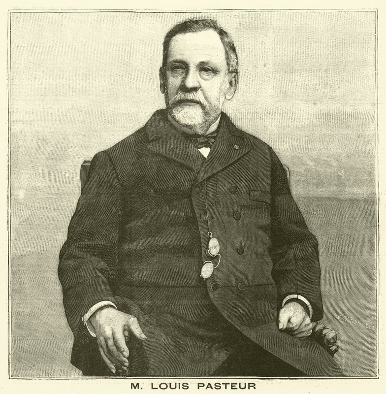 Louis Pasteur , fransk mikrobiolog (gravering) av French School