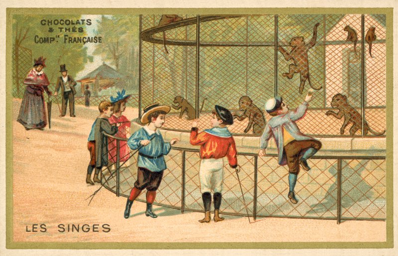 Aper (chromolitho) av French School