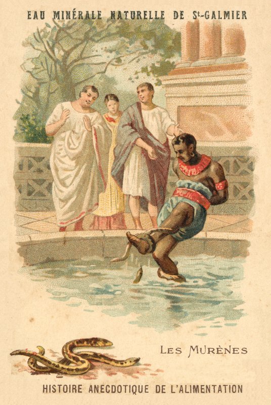 murene (chromolitho) av French School