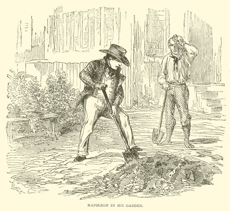Napoleon i hagen sin (gravering) av French School