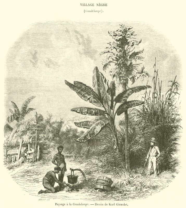 Landskap i Guadeloupe (gravering) av French School
