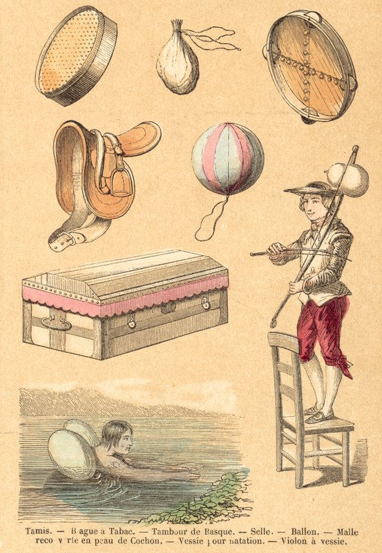 Gris (farget gravering) av French School