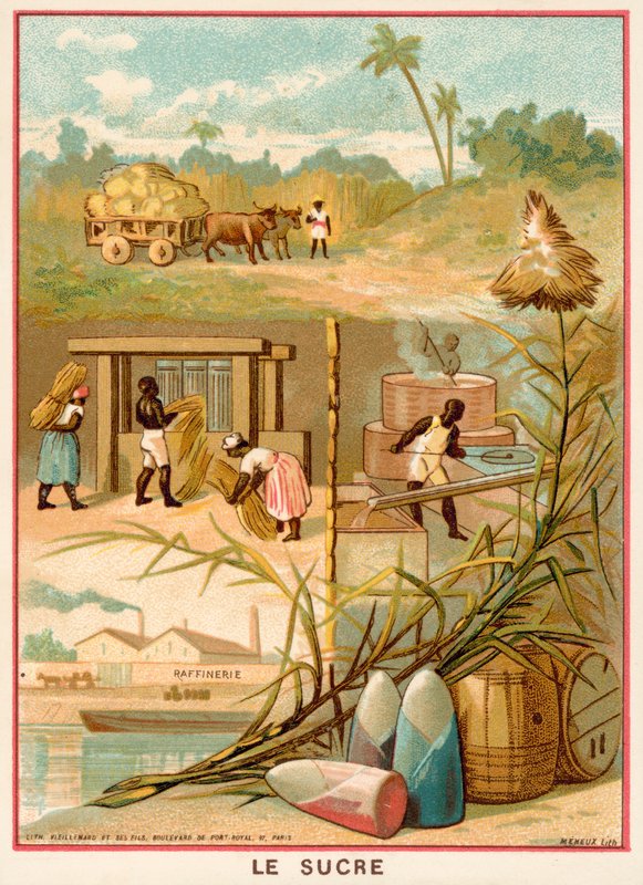 Sukker (chromolitho) av French School