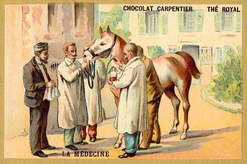 Ta blod fra en hest (chromolitho) av French School
