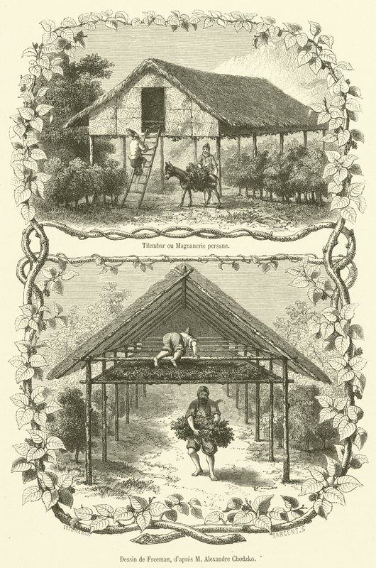 Tilembar ou Magnanerie persane (gravering) av French School