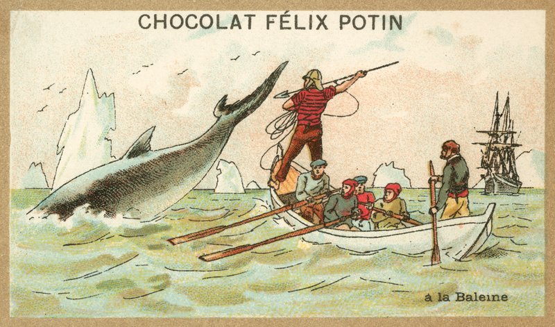 Hvalfangst (chromolitho) av French School