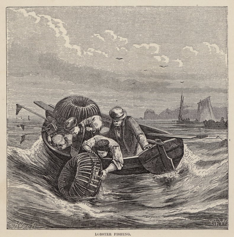 Hummerfiske (farget gravering) av Friedrich Specht