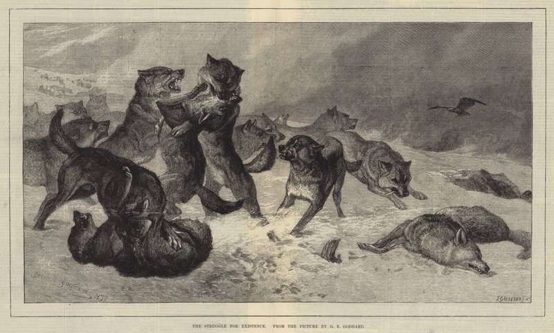 Kampen for tilværelsen av George Bouverie Goddard