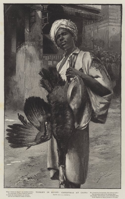 Tyrkia i Egypt, jul i Kairo av George L. Seymour